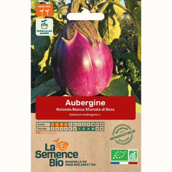 semences-bio-reproductibles-aubergine-rotonda-bianca-sfumata-di-rosa-30-gn