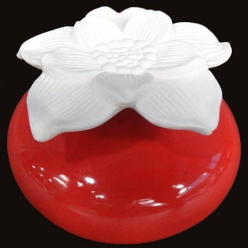 Diffuseur par Capillarité Narcisse Rouge