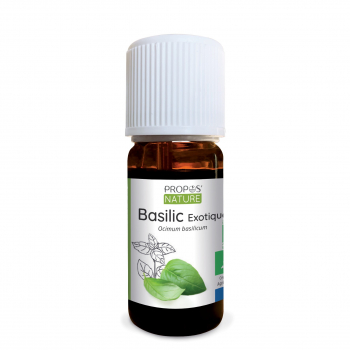 huile-essentielle-de-basilic-exotique-certifiee-ab-10ml