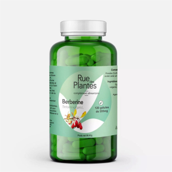 Berberine_-_Rue_Des_Plantes-104550