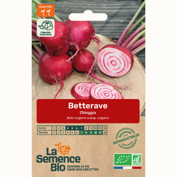 semences-bio-reproductibles-betterave-chioggia