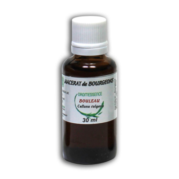 Macérat de bourgeons BIO  Bouleau 30 ml DROMESSENCE