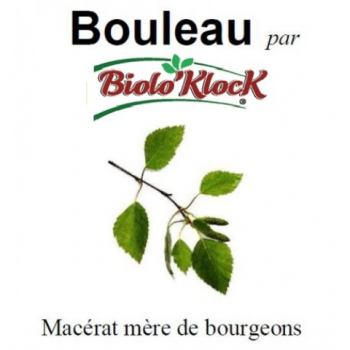 Macérat de bourgeons de Bouleau - 15ml