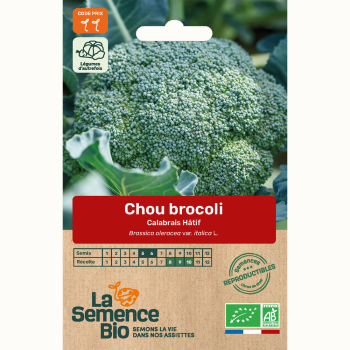 semences-bio-reproductibles-brocoli-calabrais-hatif