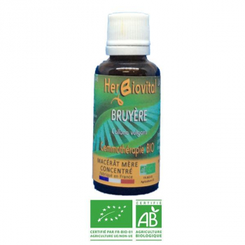 Bruyère-Gemmotherapie-Bio-Herbiovital-Urinaire
