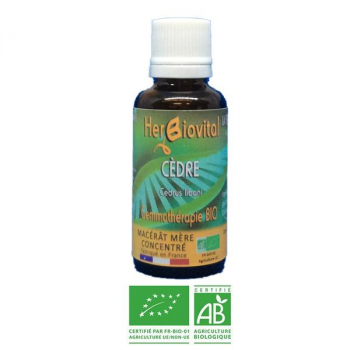 Cèdre-Gemmotherapie-Bio-Herbiovital-Peau