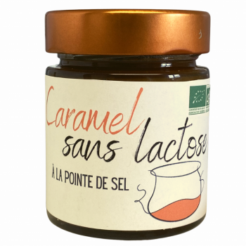 Caramel végétal BIO (sans lactose) - 175 g