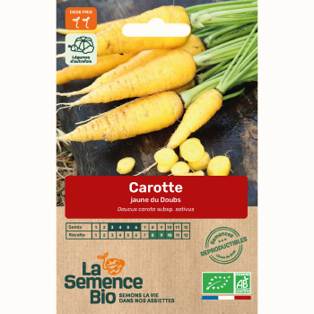 semences-bio-reproductibles-carotte-longue-jaune-du-doubs