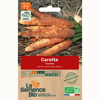 semences-bio-reproductibles-carotte-touchon