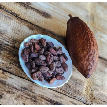 Fèves de cacao criollo crues Bio