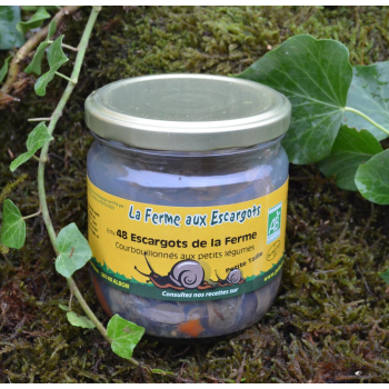 48 escargots gros gris BIO (petite taille)