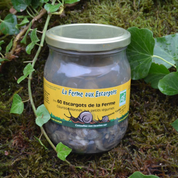 60 escargots gros gris BIO (moyenne taille)