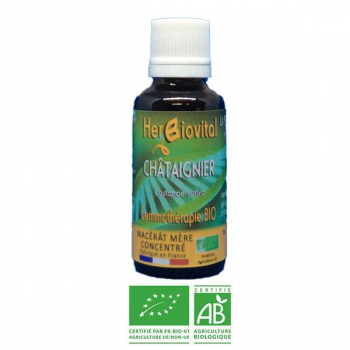 Chataignier-Gemmotherapie-Bio-Herbiovital-Drainagegraisse