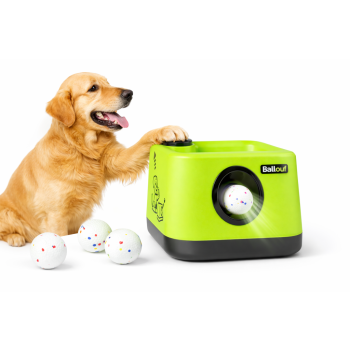 Lanceur de balles intelligent et éducatif pour chiens - Ballouf