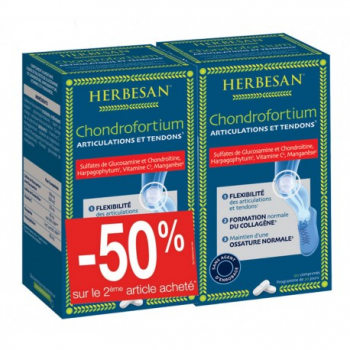 chondrofortium-lot-de-2-herbesan