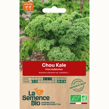 semences-bio-reproductibles-chou-kale-halbhoher