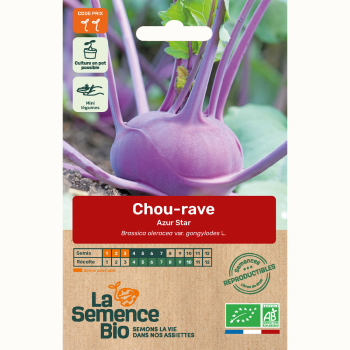 semences-bio-reproductibles-chou-rave-azur-star
