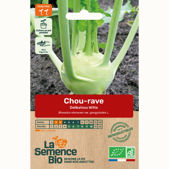 semences-bio-reproductibles-chou-rave-delicatess-white