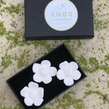 Coffret 3 fleurs diffuseur de parfum 