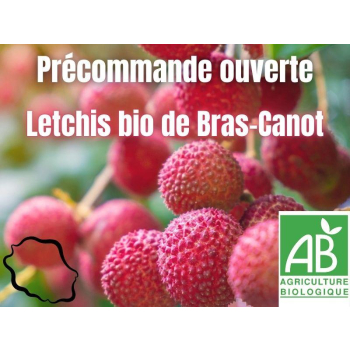 Letchis bio de La Réunion 5 kg - Précommande 