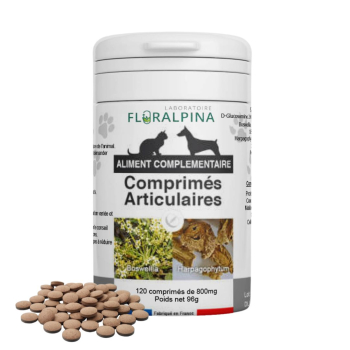 ComplexeArticulaires120comprimes-P1