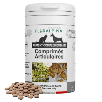 ComprimesArticulaires60comprimes-P1