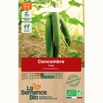 semences-bio-reproductibles-concombre-tanja
