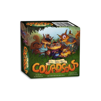 Jeu d'observation rigolo familial - Couadsous 