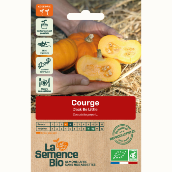 semences-bio-reproductibles-courge-jack-be-little