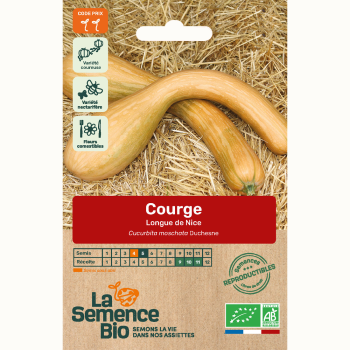 semences-bio-reproductibles-courge-longue-de-nice