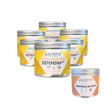 DEFENSIM+® Pack de 6 mois - Thé offert - Gummies immunité - Feuilles d'olivier - 90 gummies