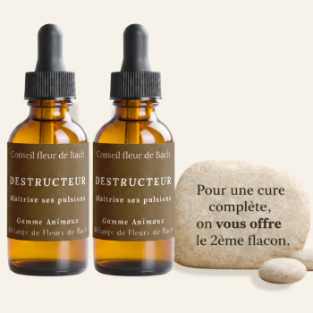 Fleurs de Bach Destructeurs - 30 ML - Lot de 2 