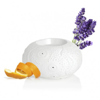 diffuseur-calvi-a-chaleur-douce-puressentiel