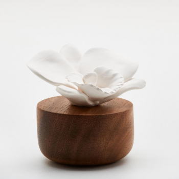 diffuseur orchidée 1