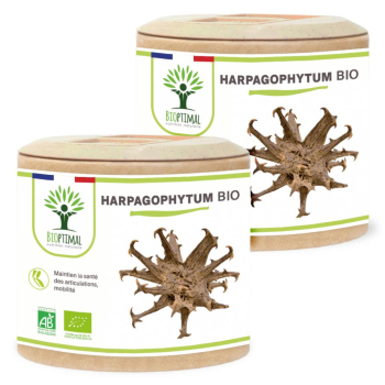 Harpagophytum Bio - Complément alimentaire - Articulation Digestion - Fabriqué en France - Vegan - Certifié écocert - 2X60 gélules