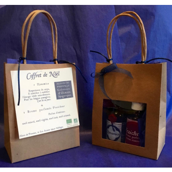 Coffret de Noel Dynamica