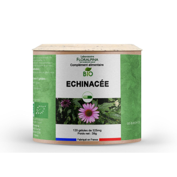 Echinacee_BIO_-_Rue_Des_Plantes-105157