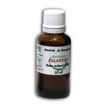 Macérât BIO de bourgeons : Eglantier 30 ml DROMESSENCE
