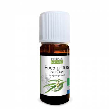 eucalyptus-globulus-bio-huile-essentielle-10-ml