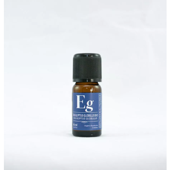 Huile Essentielle Eucalyptus Globulus 10ml  BIO Distillerie Bleu Provence