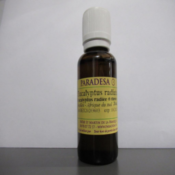 Huile essentielle BIO eucalyptus radié 30ml