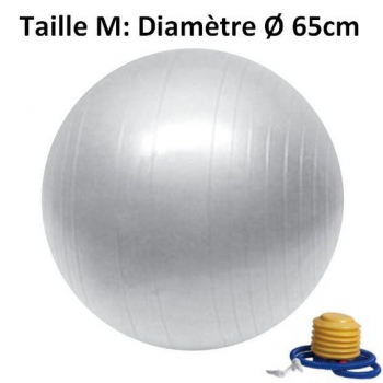 Ballon de Yoga / Fitness Taille M 65 cm Argenté