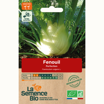 semences-bio-reproductibles-fenouil-perfection-bio