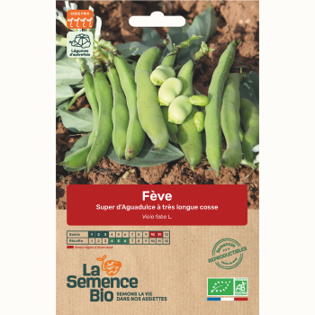 semences-bio-reproductibles-feve-super-d-aguadulce
