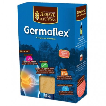germaflex-abbaye-de-sept-fons