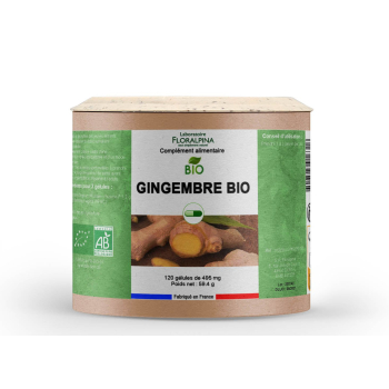 Gingembre_bio_-_Rue_Des_Plantes-105482