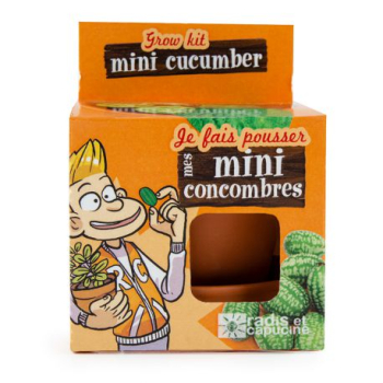 graines-de-mini-concombre-a-faire-pousser-pot-8-cm