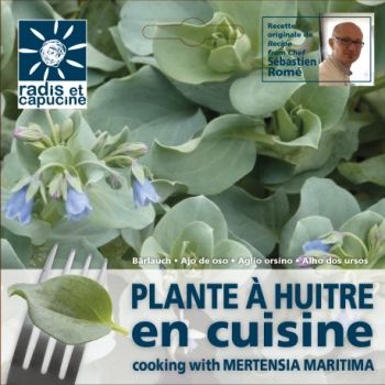 graines-de-plante-a-huitre-comestible-en-sachet