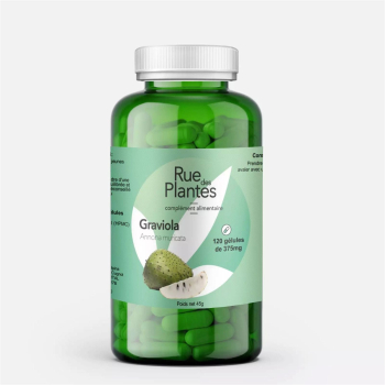 Graviola_Corossol_fruit_-_Rue_Des_Plantes-105506