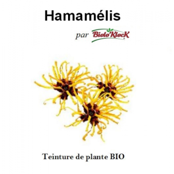 Extrait d'Hamamélis - 50ml